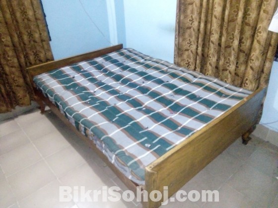 Single shill korai wood bed